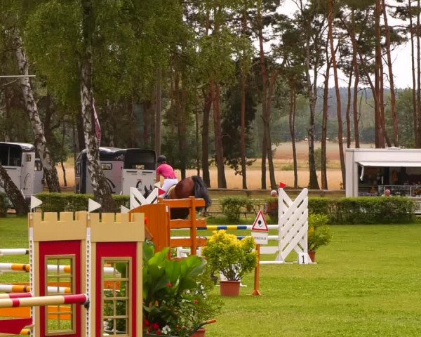 Reitturnier Etingen 2022