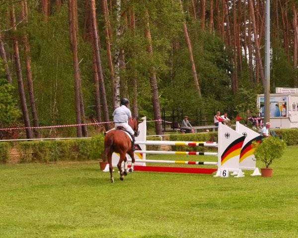 Reitturnier Etingen 2022