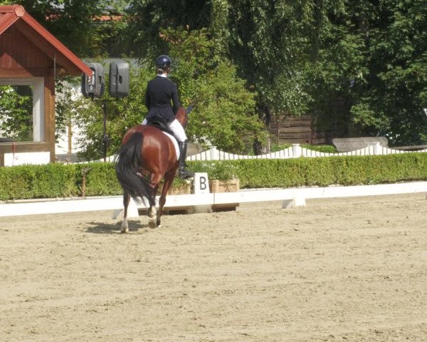 Reitturnier Neu-Anspach 2022