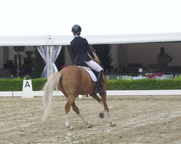 Reitturnier Neu-Anspach 2022