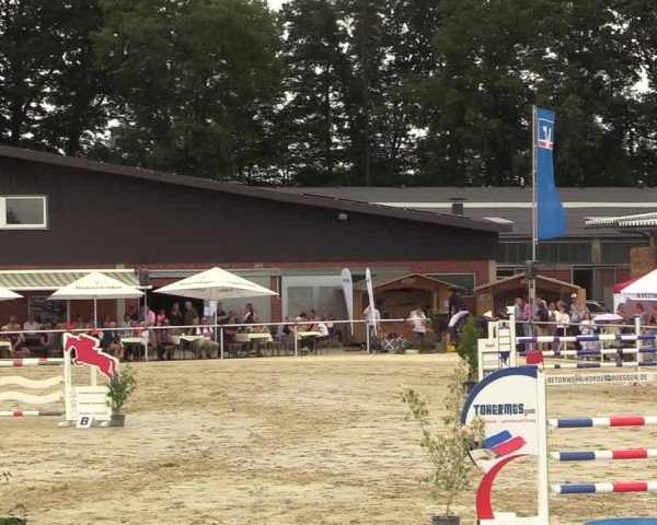 Reitturnier Clarholz 2022