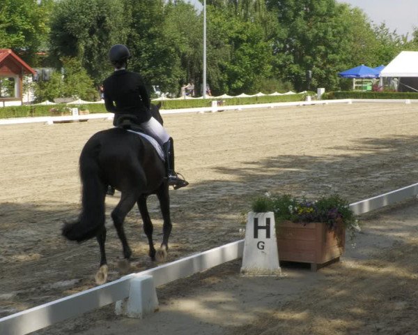 Reitturnier Neu-Anspach 2022