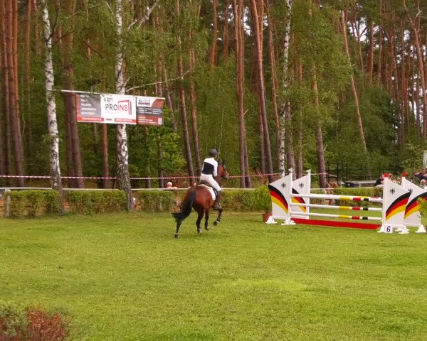 Reitturnier Etingen 2022