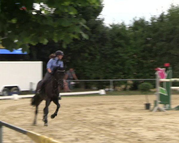 Reitturnier Panrod 2022