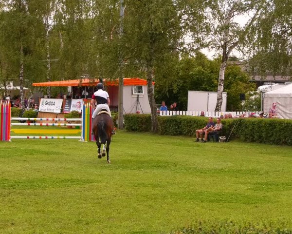 Reitturnier Etingen 2022