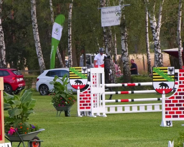 Reitturnier Etingen 2022