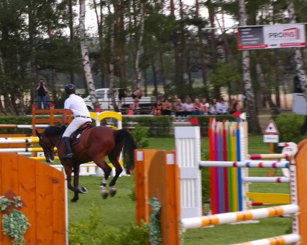 Reitturnier Etingen 2022