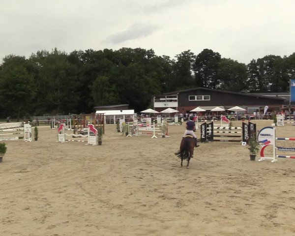 Reitturnier Clarholz 2022