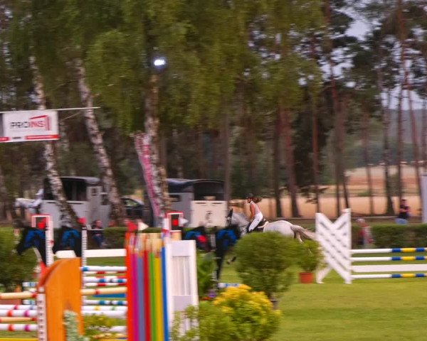 Reitturnier Etingen 2022