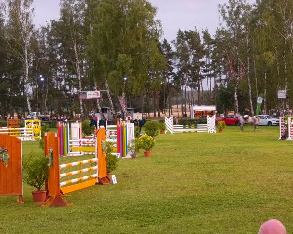 Reitturnier Etingen 2022