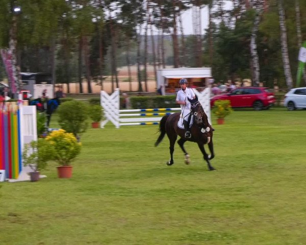 Reitturnier Etingen 2022