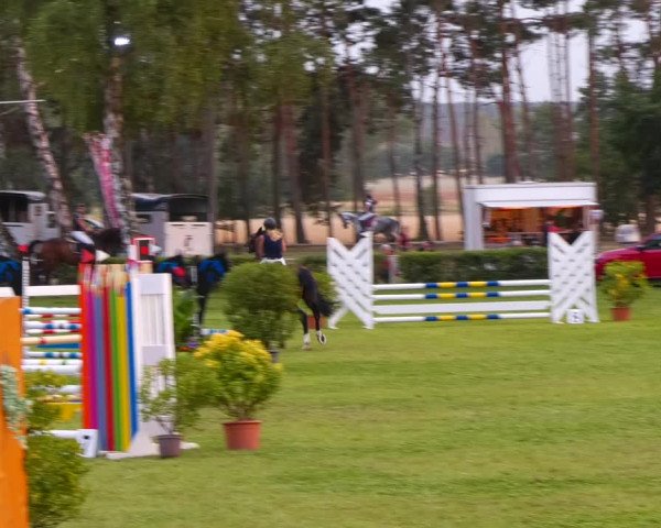 Reitturnier Etingen 2022