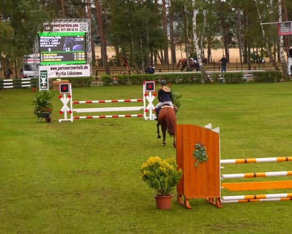Reitturnier Etingen 2022