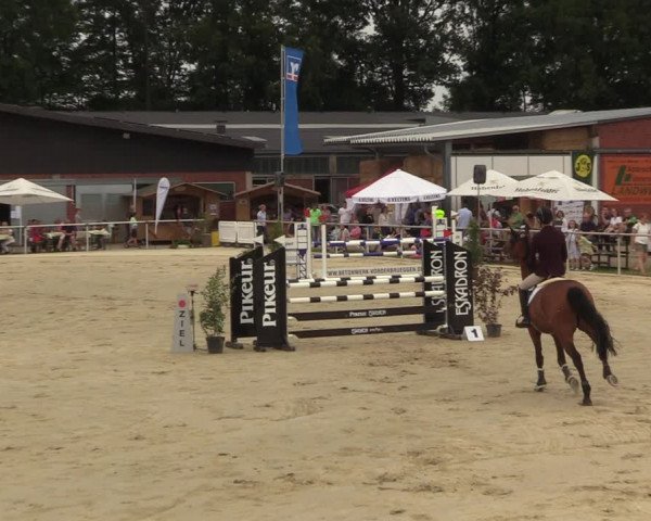 Reitturnier Clarholz 2022