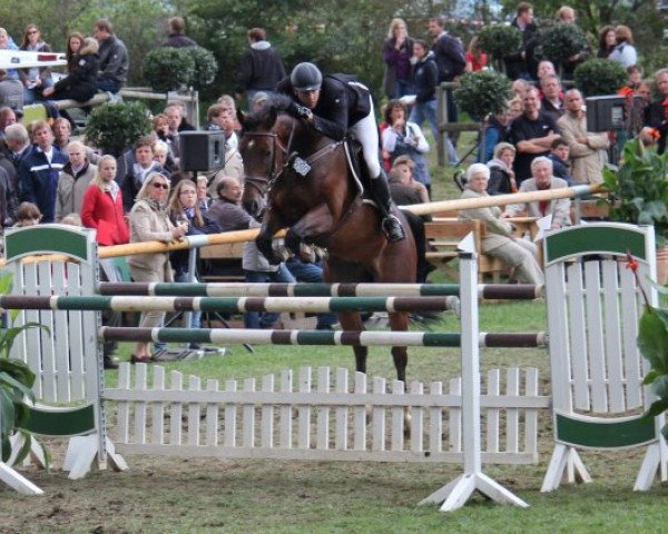 jumper Louys 2 (Westphalian, 2004, from Lord Sinclair I)