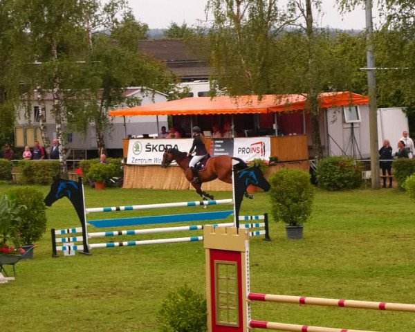 Reitturnier Etingen 2022