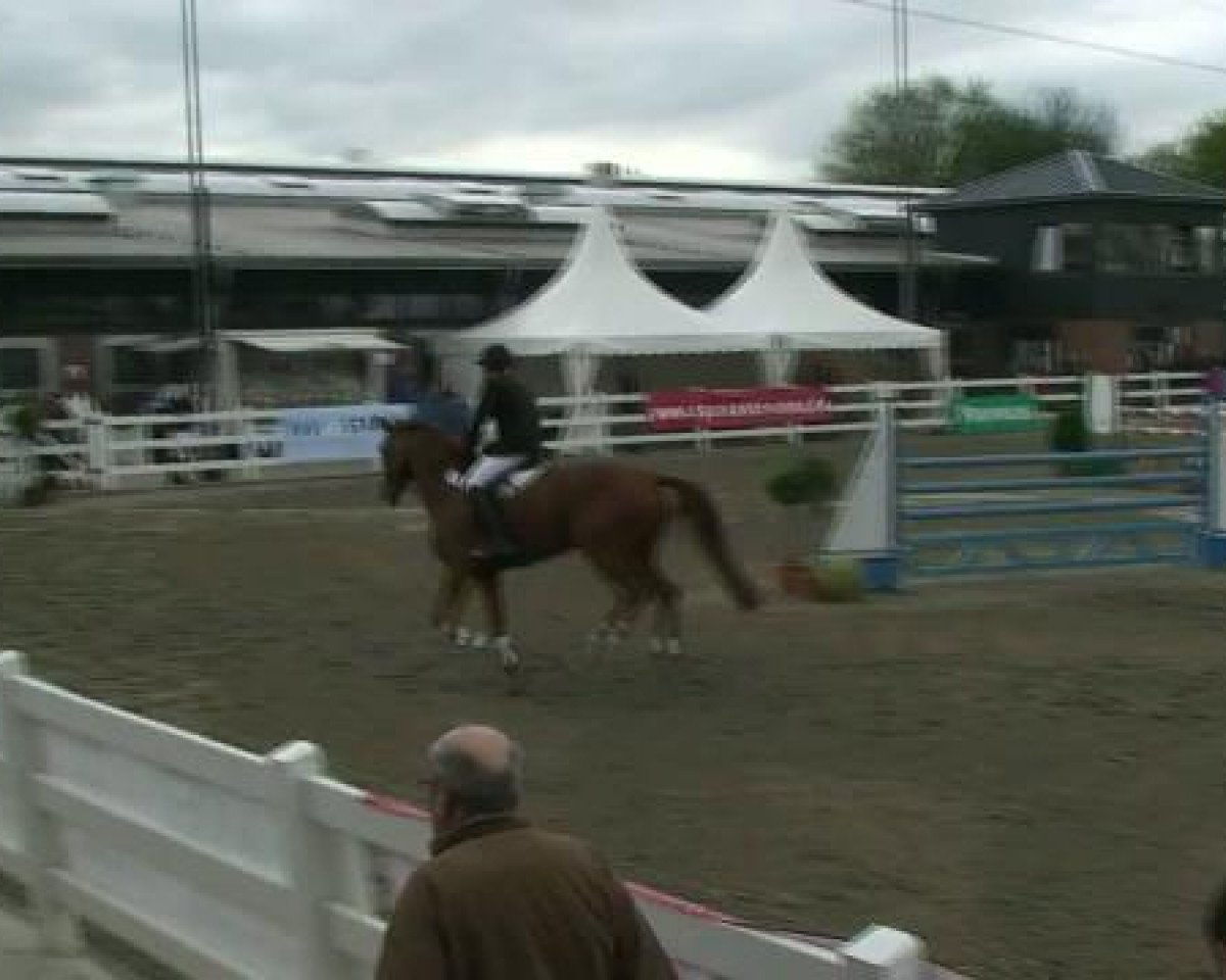 Springpferd Ledy (Westfale, 2004, von Leonetti) - Unna-Massen 2012
Freitag, den 27.04.2012
39.2. Springprüfung m.Idealzeit Kl.M*
