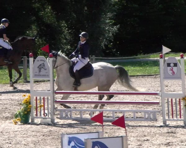 Reitturnier Gossau 2022