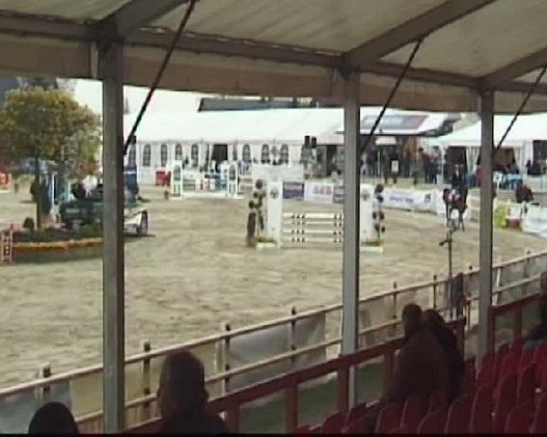 Cavallo da salto Paolo 63 (Westfale, 2005, di Pontifex)