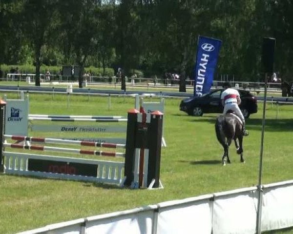 jumper Amsterdam 23 (Hanoverian, 2007, from Adlantus As FRH)