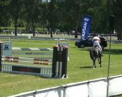 jumper Amsterdam 23 (Hanoverian, 2007, from Adlantus As FRH)