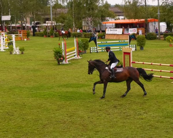 Reitturnier Etingen 2022