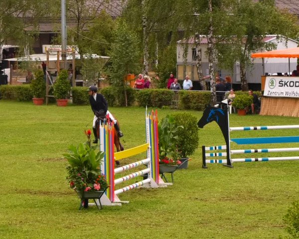 Reitturnier Etingen 2022