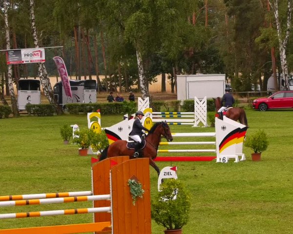 Reitturnier Etingen 2022