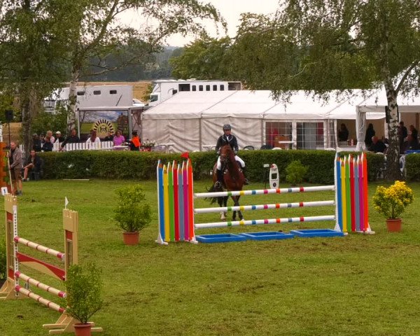 Reitturnier Etingen 2022