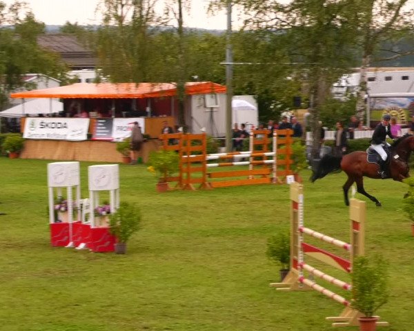 Reitturnier Etingen 2022