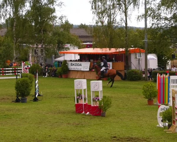 Reitturnier Etingen 2022