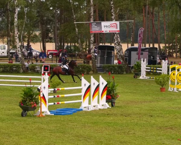 Reitturnier Etingen 2022