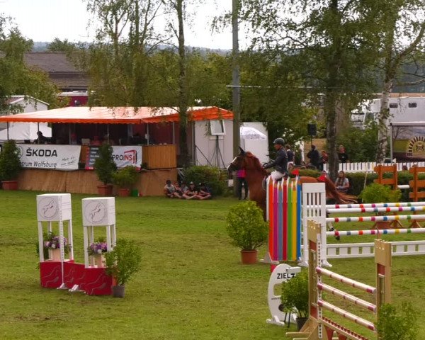 Reitturnier Etingen 2022