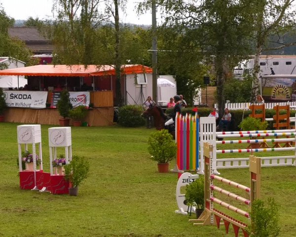 Reitturnier Etingen 2022