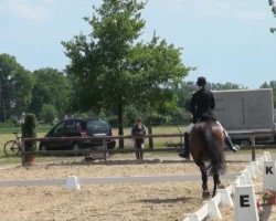dressage horse Granat 280 (Hanoverian, 1998, from Gralswaechter)