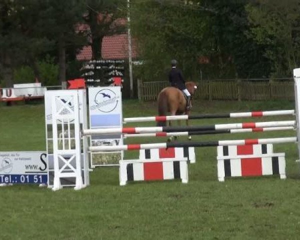 jumper Arnilukka (Westphalian, 2002, from Abanos)