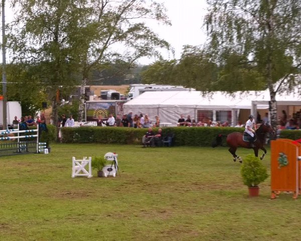 Reitturnier Etingen 2022