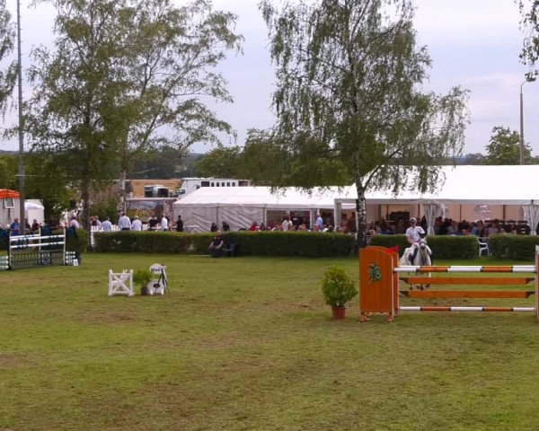 Reitturnier Etingen 2022