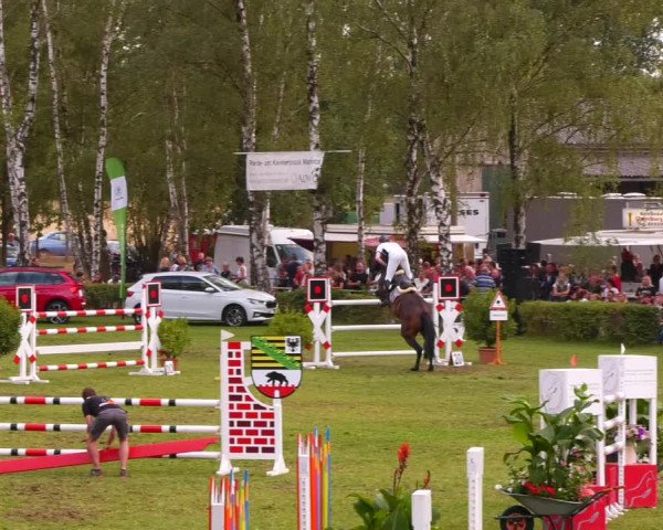 Reitturnier Etingen 2022