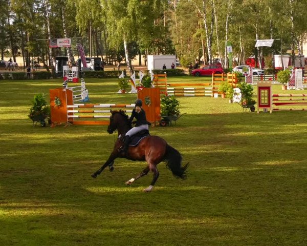 Reitturnier Etingen 2022