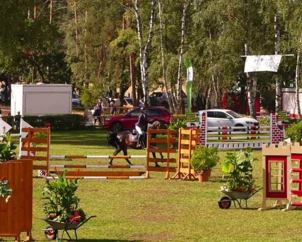 Reitturnier Etingen 2022