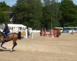 jumper Quando D (Holsteiner, 2006, from Quinar)