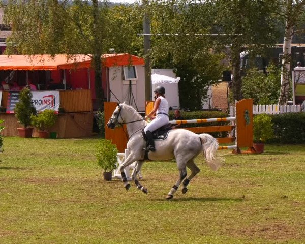 Reitturnier Etingen 2022