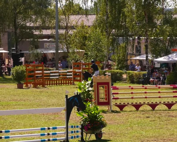 Reitturnier Etingen 2022
