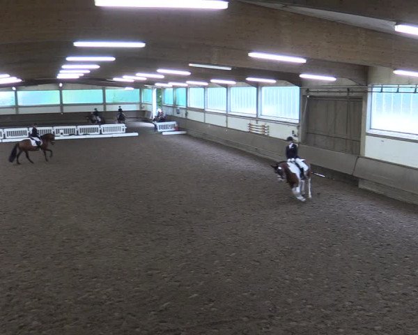 Reitturnier Clarholz 2022