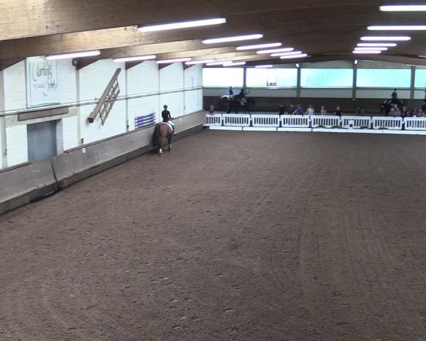 Reitturnier Clarholz 2022