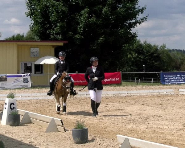 Reitturnier Biberach/Riß 2022