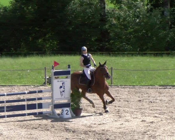 Reitturnier Gossau 2022