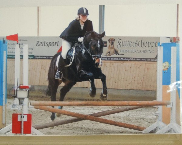 dressage horse Atreju (Westphalian, 2003, from Argent)