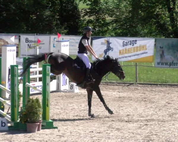 Reitturnier Gossau 2022